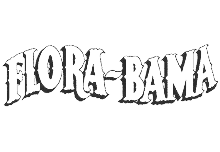logo-3