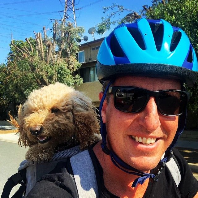 A man wearing a bike helmet and sunglasses smiles while a dog securely sits behind him.