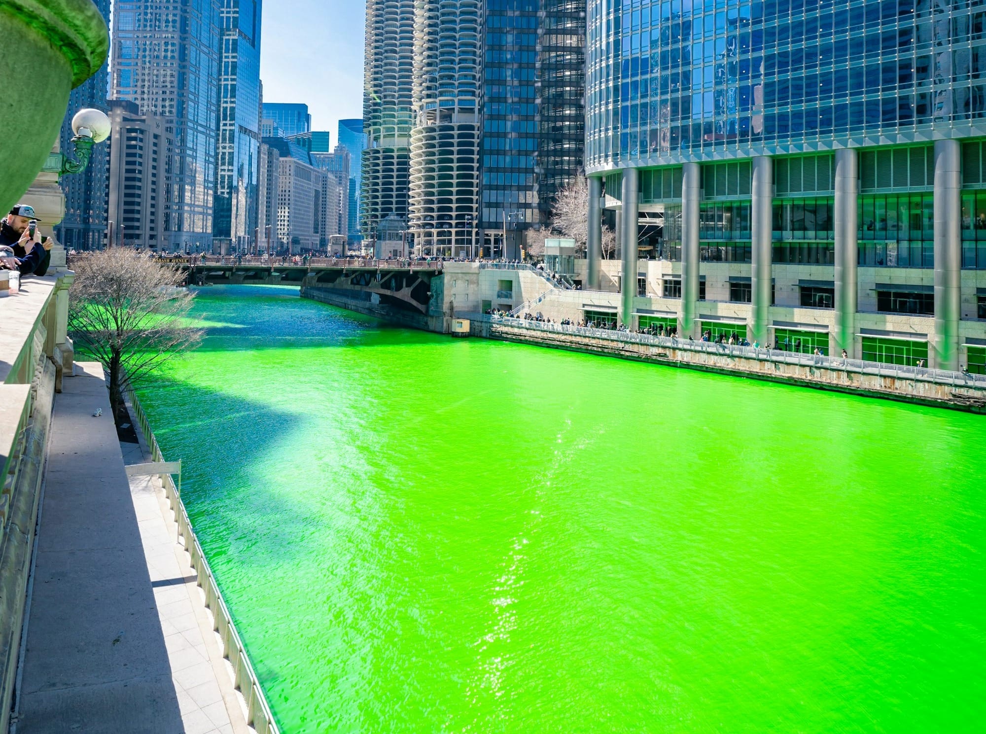 Green body of water near high rise buildings during daytime.