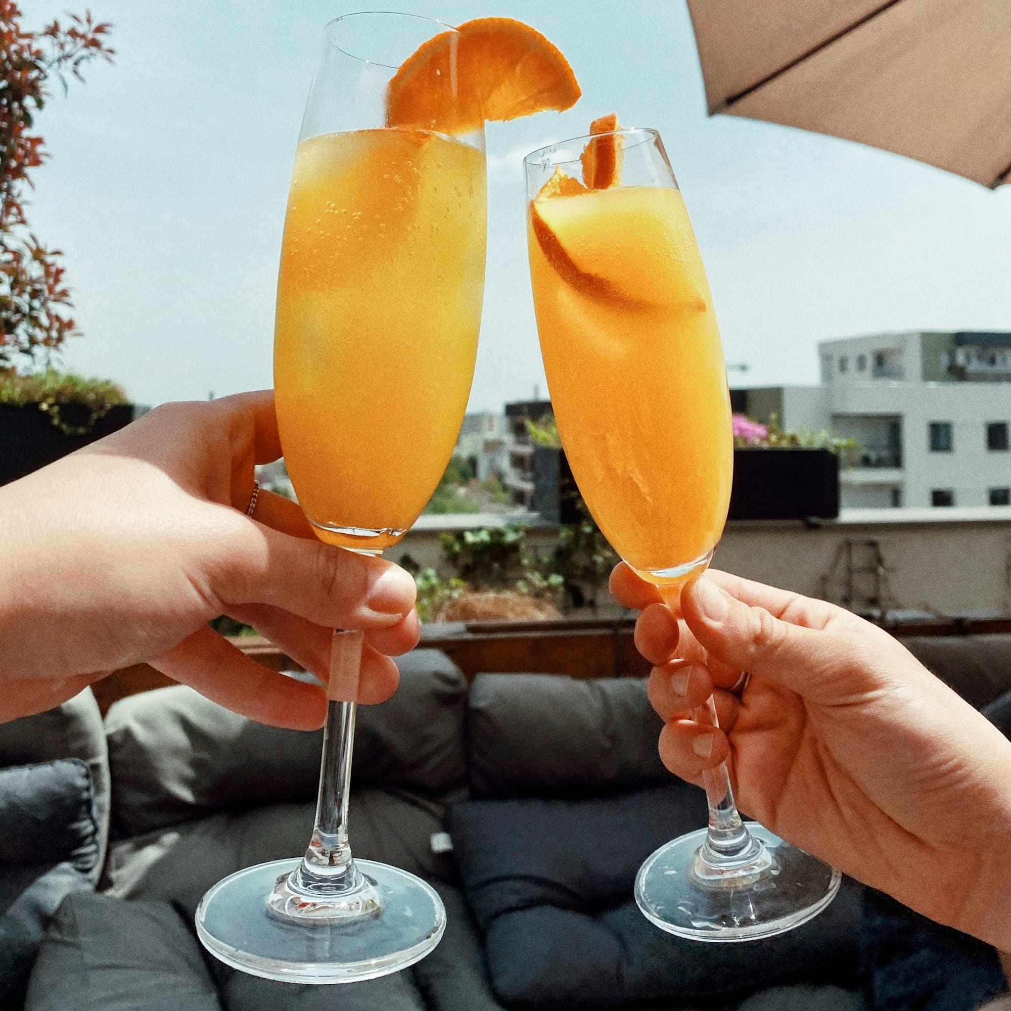 a couple of people holding up wine glasses