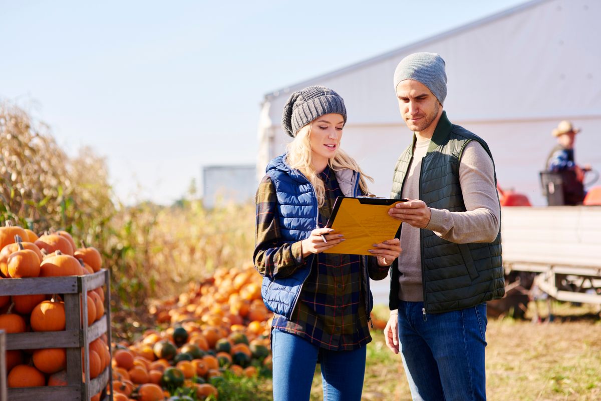 Man and woman wearing beanies look at a clipboard with a pumpkin harvest patch behind them.