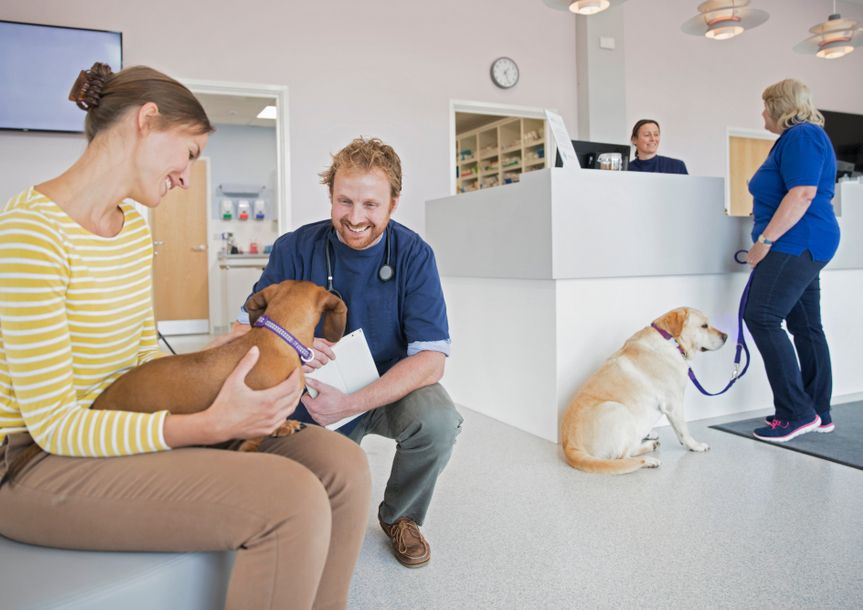 Business Software With Appointment Manager Serves Busy Veterinarian Practices
