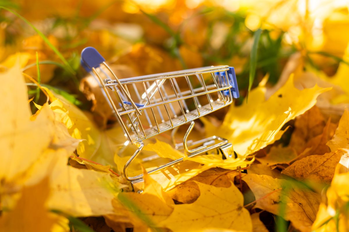 Thanksgiving shopping cart in leaves perfect for Instagram posts promotion.
